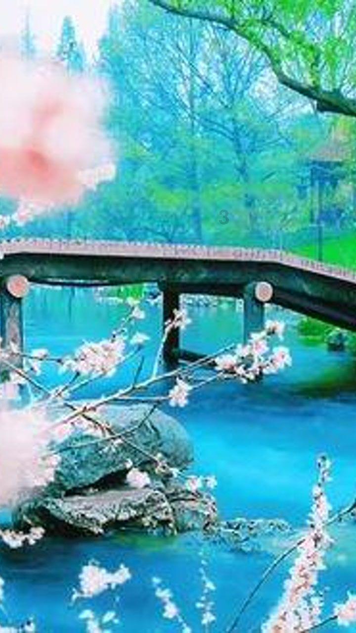 新款开售的iPad Pro，比老款做了哪些改变？游戏画面